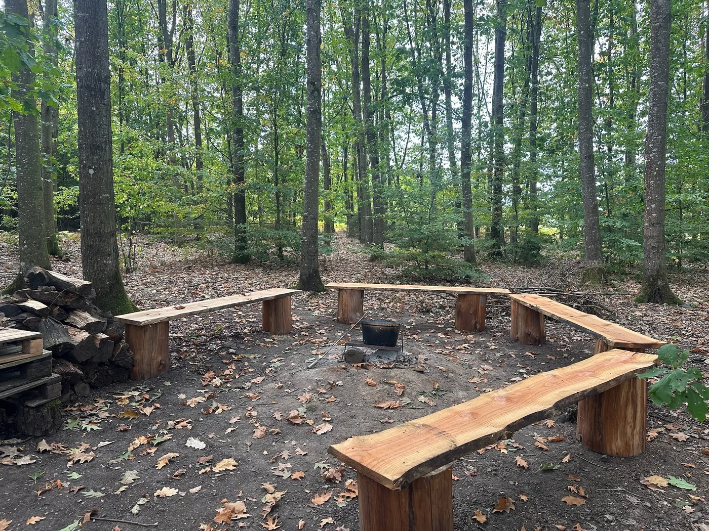 Feu extérieur en sous-bois