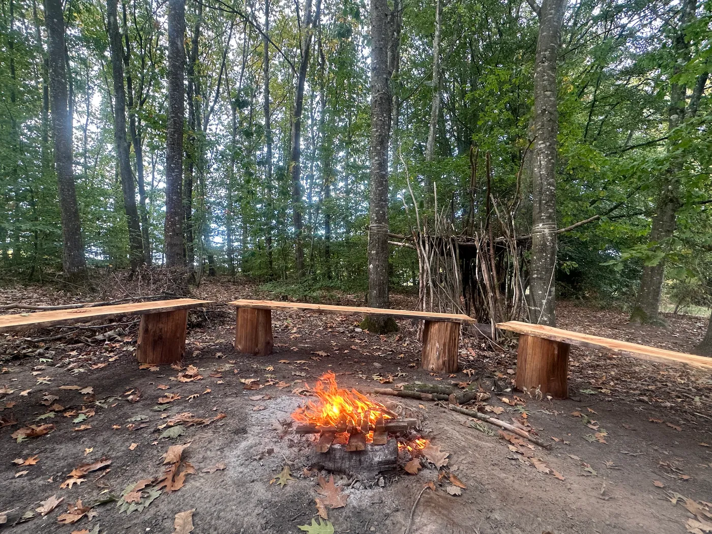 Feu extérieur en sous-bois, autre angle