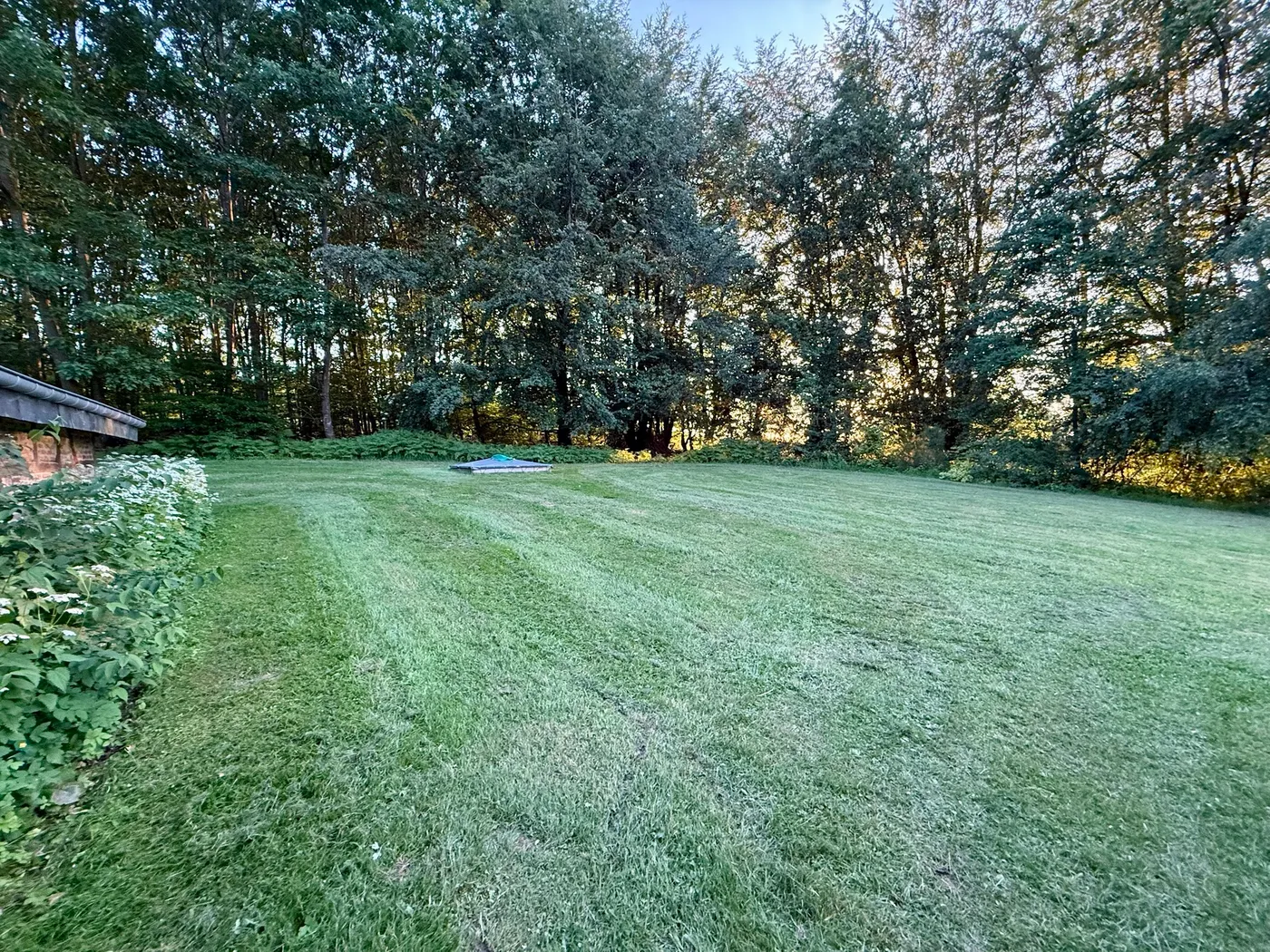 Espace jardin