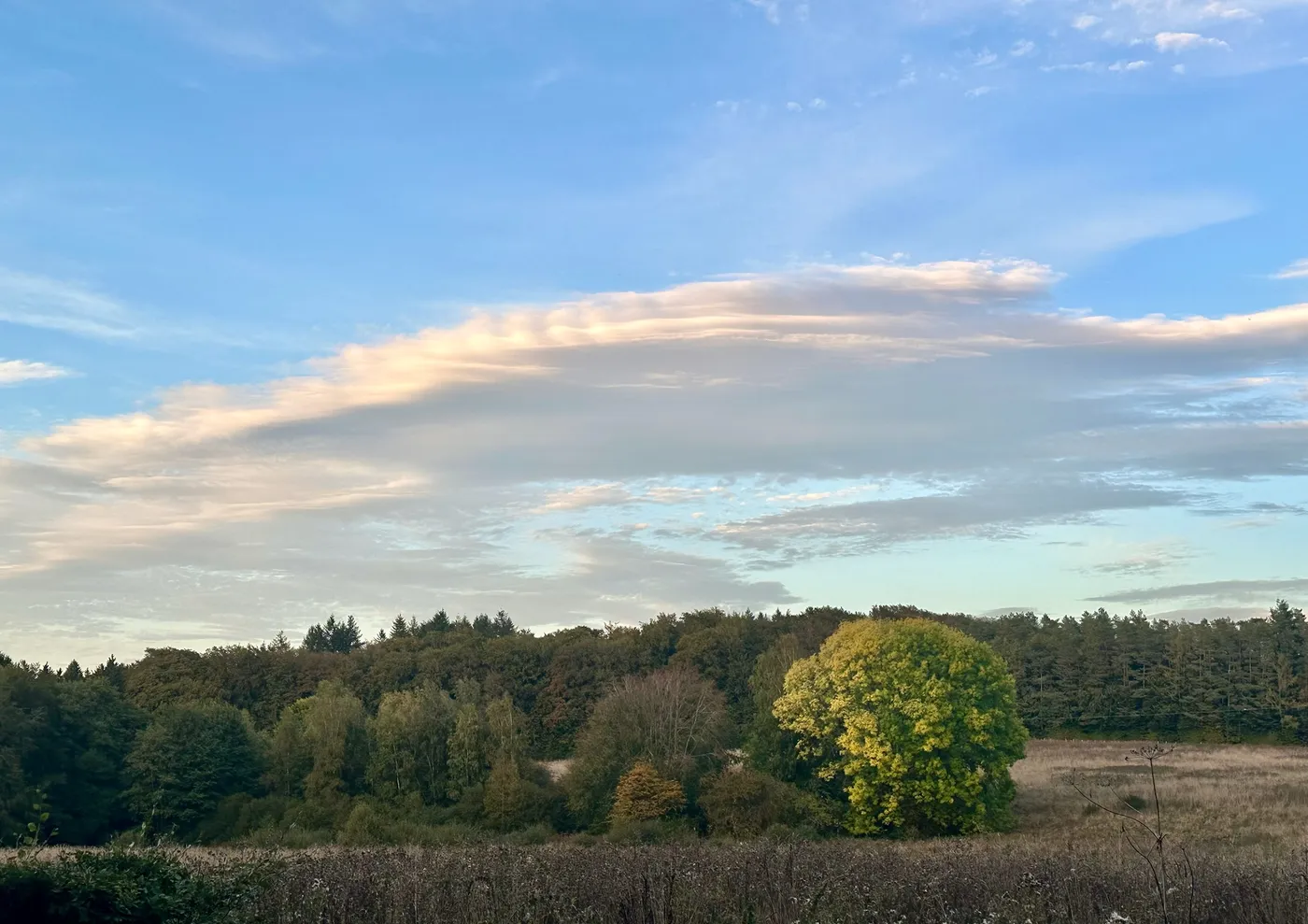 Vue depuis la maison